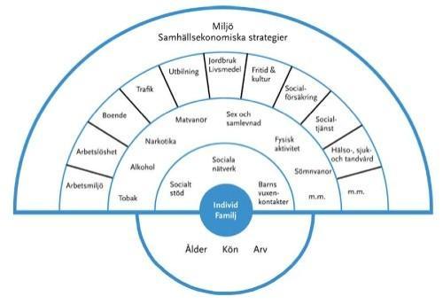 Hälsans bestämningsfaktorer: (Dahlgren & Whitehead 1991) Vårdande möten och samtal Ett möte mellan sjuksköterska och patient blir vårdande när det stödjer patientens hälsoprocesser genom att bekräfta