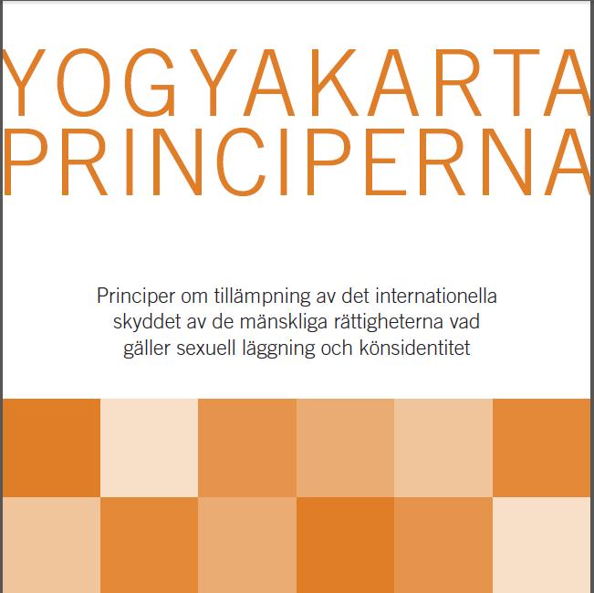2010 1. Rätten till allmänt åtnjutande av mänskliga rättigheter 2. Rätten till likabehandling och icke-diskriminering 3. Rätten till erkännande inför lagen 4. Rätten till liv 5.