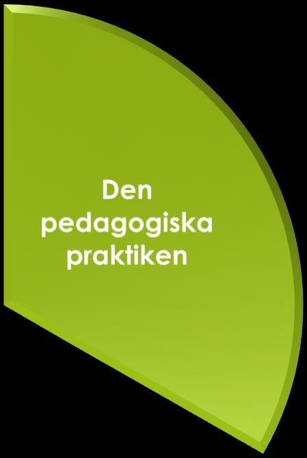 Pedagogisk grundsyn