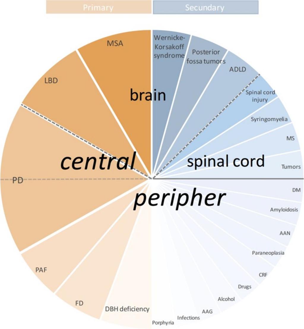 Orsaker till neurogen