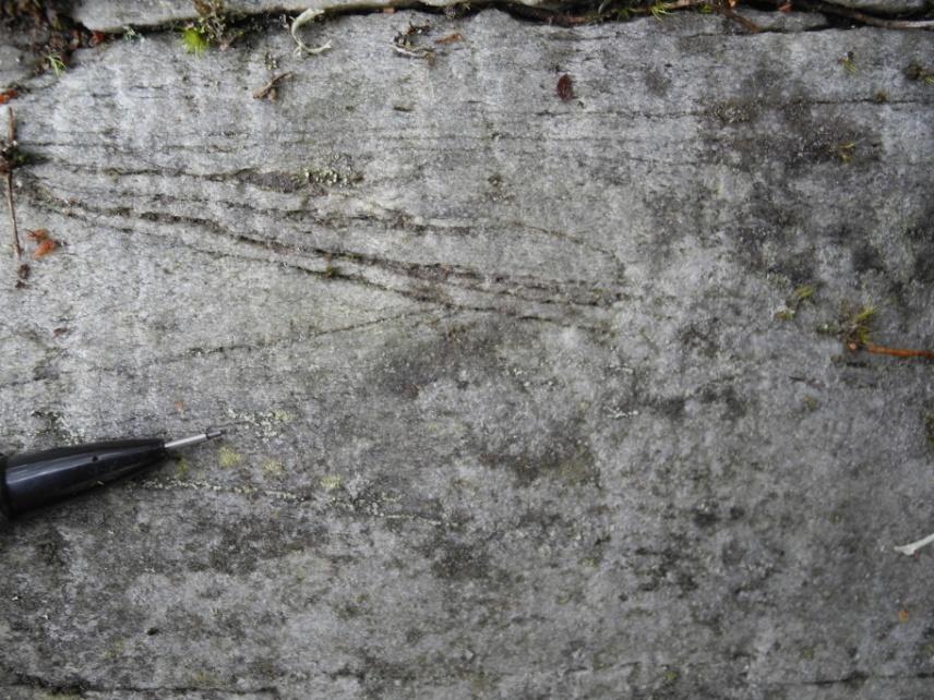 Figur 5. Korsskiktning med erosionsyta i kvartsarenit. Bilden är tagen mot sydost. Öster om Broddbo, ca 9 km nordnordväst om Sala (6652242/587058). Foto: Benno Kathol.