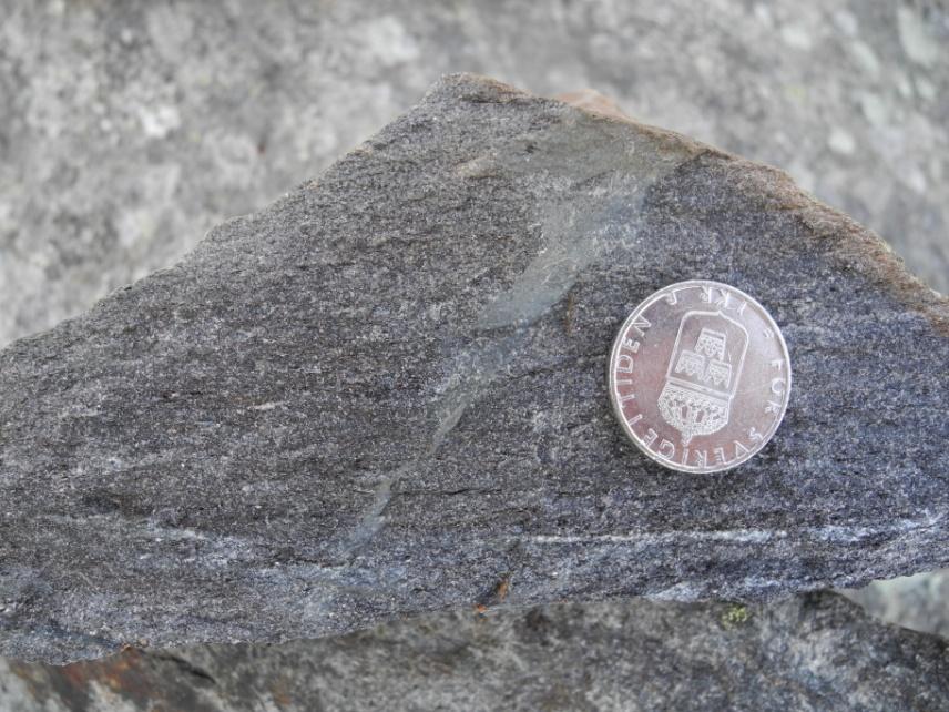 Figur 10. Paragnejs, bestående av ca 50 % kvarts och 50 % biotit. Vid Udden, ca 3,4 km sydost om Nykvarn (6559820/640941). Foto: Benno Kathol.