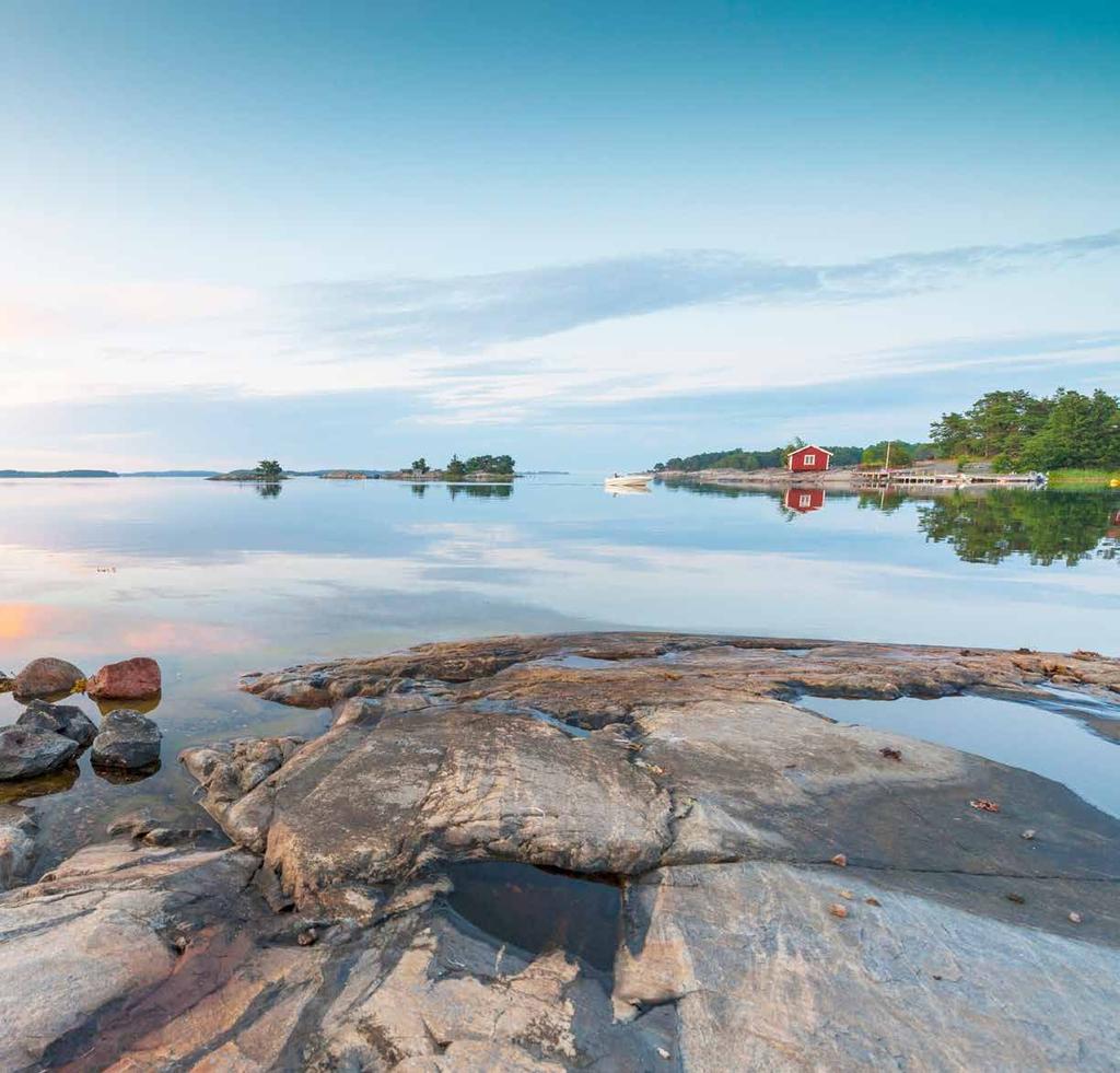 Välkommen till en alldeles speciell utbildningsupplevelse! Syntell s Scandinavian Summer School Week är en unik, inspirerande och utmanande kursvecka som leds av internationella lärare i världsklass.