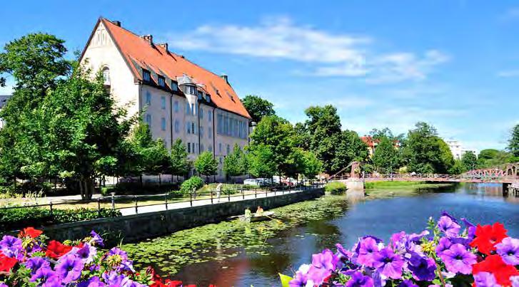 Årets Nanna Svartzföreläsare är Professor Merete Hetland från Rigshospitalet i Köpenhamn. Merete är reumatolog och ansvarig för DANBIO registret och kommer att föreläsa om sin RA forskning.