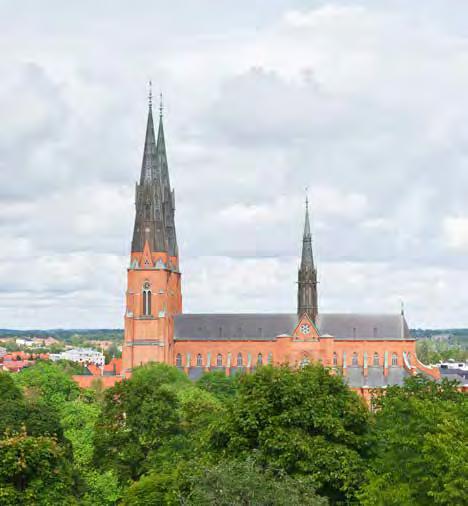 FRÅN STYRELSEN SRF 2018 UPPSALA 19 21 SEP REUMADAGARNA FRS FÖRENINGEN REUMASJUKSKÖTERSKOR I SVERIGE SRF s STYRELSE 2018 Cecilia Carlens Ordförande Reumatologiska Kliniken Karolinska