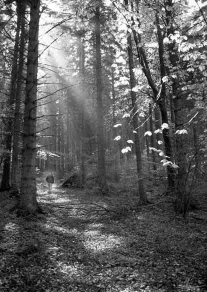 MEDDELANDE 2 2002 Skog för naturvårdsändamål uppföljning av frivilliga
