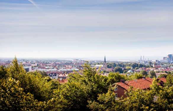 Bild på Halmstad Fotograf: Fredrik Petersson VARFÖR VÄLJA FIBER FRÅN HALMSTADS STADSNÄT? Fiber är i dag lika mycket en samhällsnytta som vägar, vatten och avlopp.