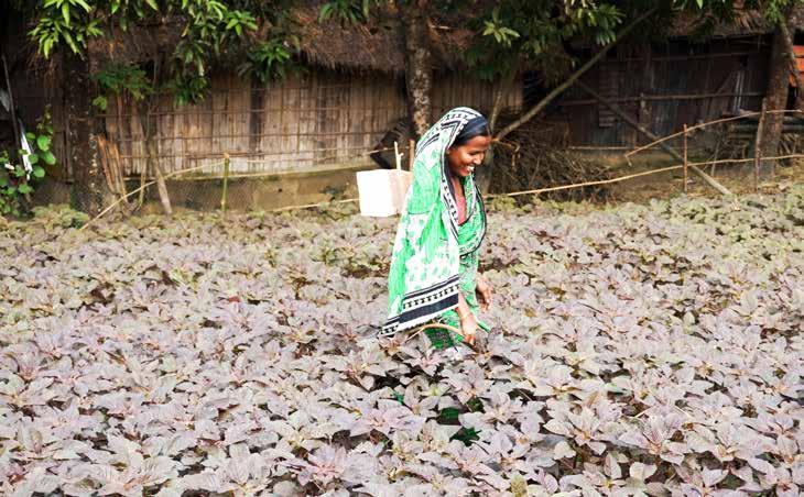 Begränsande vidskepligheter. Kvinnor i Bangladesh begränsas i sin rörelsefrihet bland annat av vidskeplighet. Kvinnan på bilden är inte Nameta i artikeln.