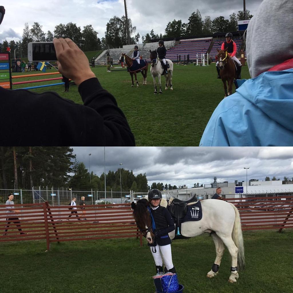 11. STIPENDIEFONDEN I GLRs stipendiefond kan ungdomar mellan 13-21 söka bidrag för hel eller delar av kostnader för kurser och fortbildningsinsatser inom ridsport och ledarskap.