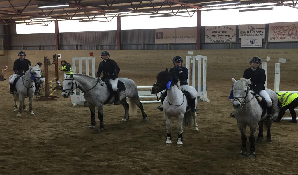 Framgångar under året Hästkunskap Cuplaget: Signe Hoas, Clara Nohrlander och Nicole Larsson som tog sig till final på Strömsholm och lyckades mirakulöst vinna hela tävlingen för att ta sig till