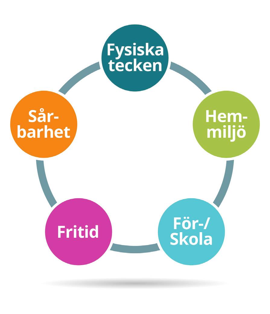 Fem kartläggningsområden I det här stödmaterialet har den övergripande kartläggningen delats in i fem tematiska områden.