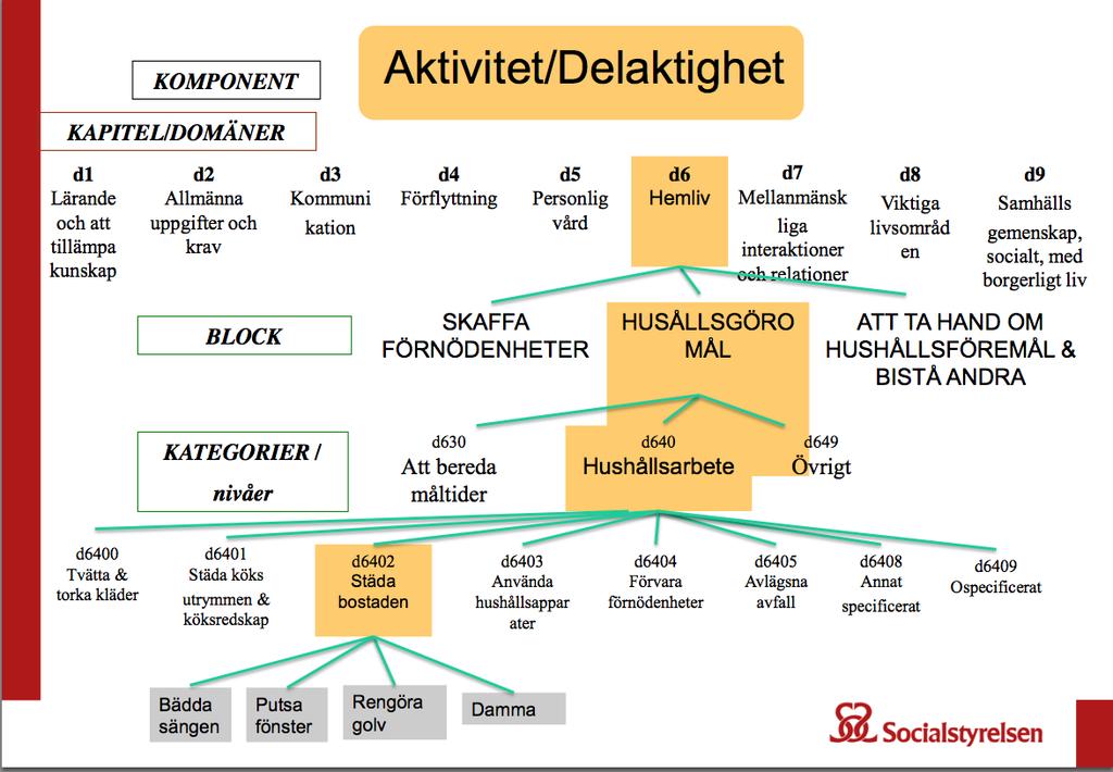 13 Vad är IBIC?