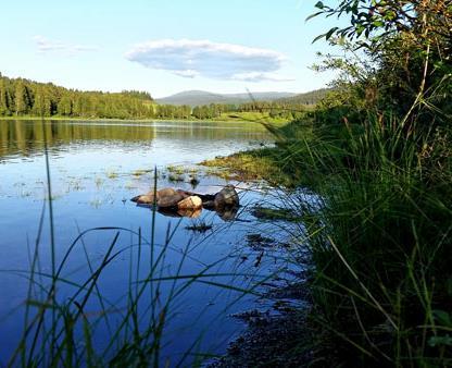 Process & miljö Positiv utveckling av