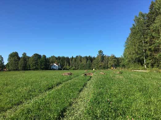 Kolbotten och färdväg i Torphyttan Arkeologisk utredning etapp 1 och 2 Lindesby 1:13 m.fl.