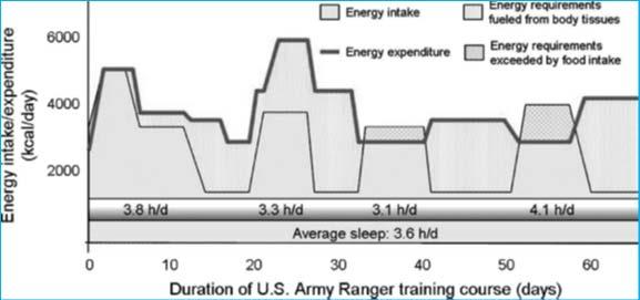 Army Ranger träningskurs 8 veckors träning 1000 kcal 20 % muskelstyrka och
