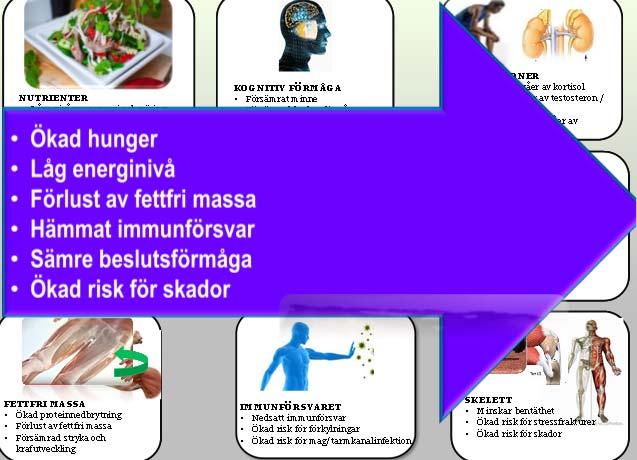 nivåer av sköldkörtelhormon METABOLISM Lägre energiomsättning Ökad energieffektivitet Minskad värmeproduktion Ökad risk för viktökning av fett