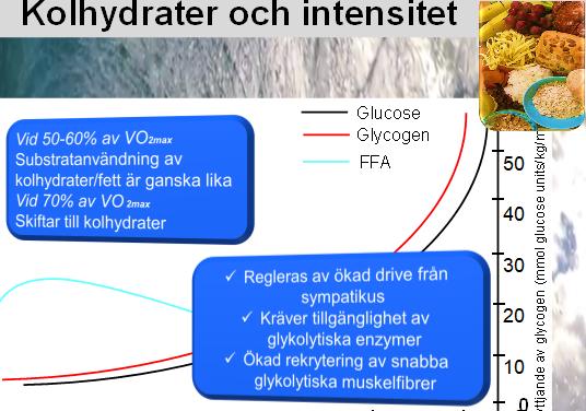 20 40 60 80 100 %VO2max Anpassad efter Coyle Utnyttjande av