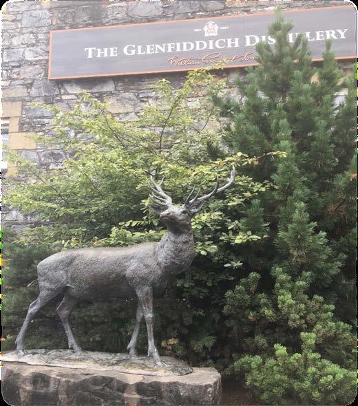 Det blev en film om Glenfiddich historia och destillering och vackra
