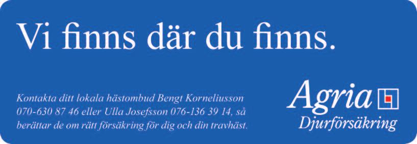 sättning, moms och reklamskatt) Annonsmaterial senast 10 dagar innan tryckning. Tävlingsbanan Banbredd Start 1640 m, 22,5 m. Start 2140 m 21,6 m. Längd: 1000 m. Upploppets längd: 227 m.