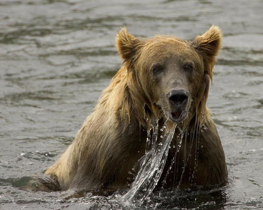 ELEMENT 9: FÖRLUST AV OSÄKERHET/SJÄLVMEDVETENHET- ORO OCH NEGATIVA TANKAR FÖRSVINNER CC CITAT: JAG OCH EN KOMPIS HYRDE EN STUGA OCH VAR UTE OCH FISKADE OCH HADE SÅ UNDERBART DÄR UTE VID VATTNET OCH