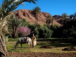 södra Marocko.