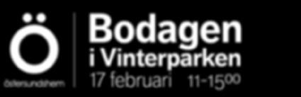 Bodagen i Vinterparken Lilla Remontloppet 17 februari 11-15⁰⁰ BARNHOCKEY SKAJAK PULKABACKE En familjedag på skidor!