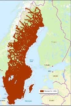 Väg- och järnvägsinfrastruktur upptar enbart ca 1,3 procent av Sveriges yta, men trafikbullrets påverkan når långt bortom denna yta.