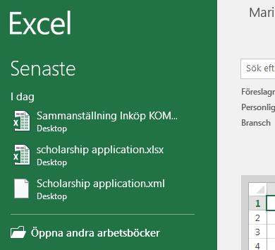 Öppna programmet Excel.