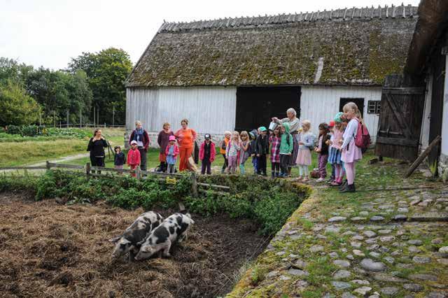 visningar tema djur och natur på Östarp Följ med gårdsbrukaren Emma Johansson på en rundvandring bland ängar och betesmarker.