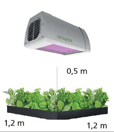 Jörgensen, herr FoodTech i Sverige Silicon Valley möter mat typ.