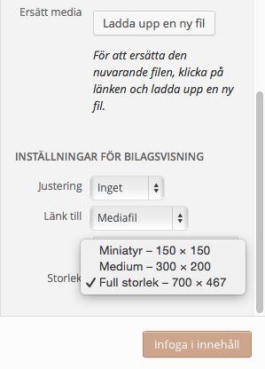 8. När du är klar, klicka Infoga i innehåll 9. Klicka på bilden och välj Redigera eller Ta bort om du vill ändra bilden efteråt.