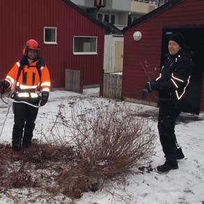 För att ytterligare göra det ljusare för er hyresgäster jobbar vi för fullt med att klippa ner skymmande buskage och stamma upp träd.