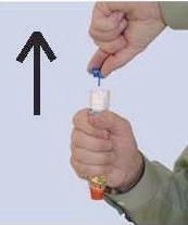 Hur Epipen ges EpiPen är utformad för att enkelt kunna användas av personer utan medicinsk utbildning. EpiPen ska stötas mot yttersidan av låret med ett avstånd av ca 10 cm.
