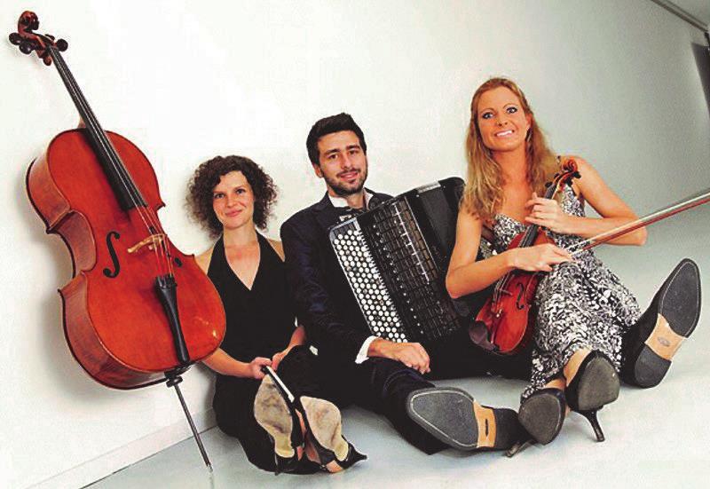Trio Ambassador har uppträtt vid flera tillfällen och platser såsom Incontri Musicali i Morcote, Ceresio Estate, konserter i San Martino, Ronco supra Ascona, Ticino Musica, för utmärkelser för ungdom