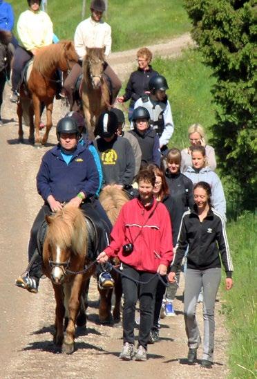 RIDKURS SOMMARKURSER För dig med lätt utvecklingsstörning. Här växlar vi mellan ridning i paddock och ridning i skogen. Du lär dig att ta hand om hästen och utrustningen.