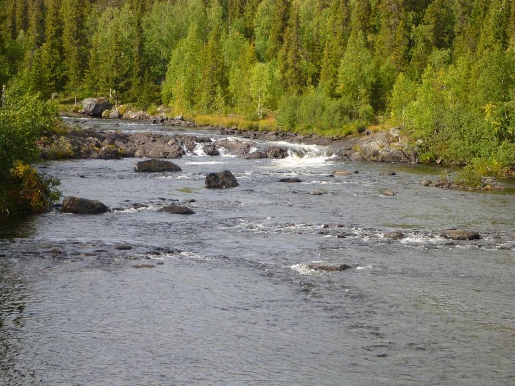 (höger) vid restaurering i Marsån,