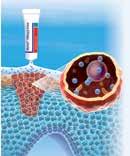 Vad är fotodynamisk Metvixbehandling med dagsljus? Fotodynamisk behandling benämns även PDT som är en förkortning av photodynamic therapy.