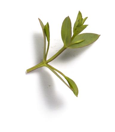 U SLUČAJU DA POSTOJI ne postoji kolektivni ugovor na Vašem radnom mjestu, važno je da saznate što dobivate/dobijate umjesto toga. Jeste li osigurani? Koliko Vas slijedi kada ste bolesni?