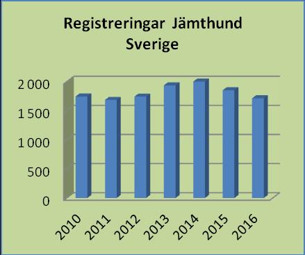 Populations Avelsstruktur Registreringsstatistik Jämthunden är en mycket populär ras och är nu vår