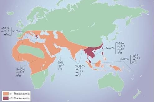 Global distribution av alfa-thalassemi Enskild kromosom a +