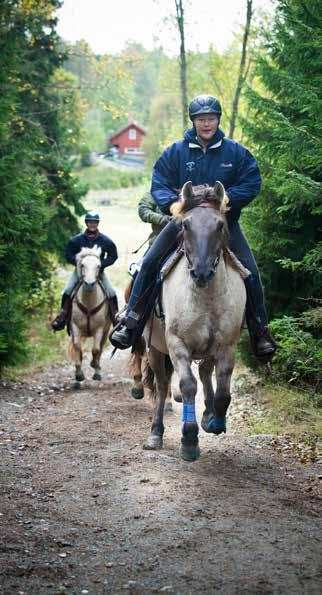 Rida Du som älskar att tillbringa ledig tid i sadeln eller du som helt enkelt är nyfiken på att testa på att rida, har hamnat rätt. Haninge är nämligen en av Sveriges mest hästtäta kommuner.