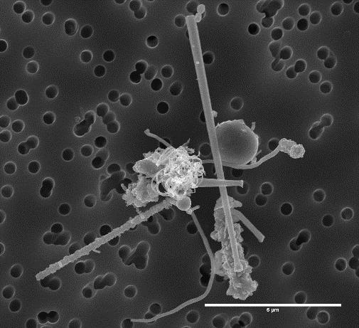 Under ett arbetspass som inkluderade manuell rengöring av reaktorn återfanns luftburna halvledarnanotrådar i den anställdes andningszon, med en antalskoncentration på 0,013-0,025 fibrer per cm 3,