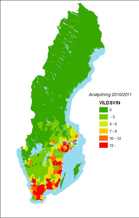 Utbredning De största koncentrationerna av vildsvin förekommer i landets södra och sydöstra delar.