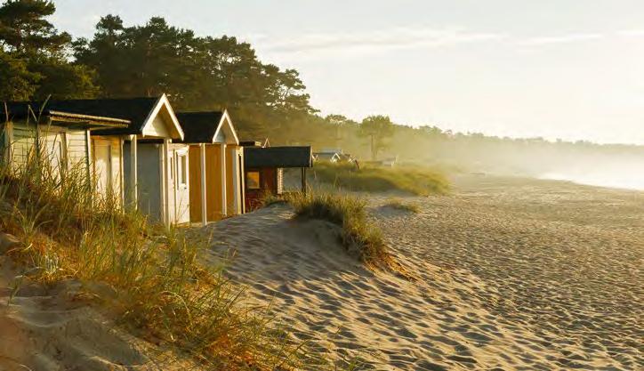 Folk från både när och fjärran söker sig till stranden för solen och de många evenemangen, som Åhus Beach Soccer och Åhus Beach Handball Festival.