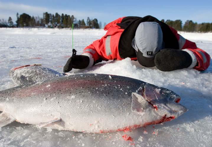 På fjället kan man åka både längd- och slalomskidor och skoterlederna hjälper dig att hitta fiskevatten och fikaställen.