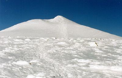 dag med fantastisk utsikt över glaciären, Drakryggen, Halspasset samt nord- och