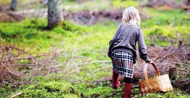 Onsdag 22 augusti 2018 7 VAR MED OCH BIDRA! Grönområden i tätorterna för natur och rekreation!