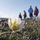 Glaciärisarna i Hornsund är ett favorittillhåll