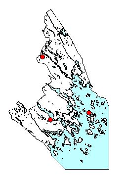 Sidan 42 Violmussling Trichaptum laricinum Hotkategori NT En vidväxt eller hattbildande ticka med tunn men styv fruktkropp.