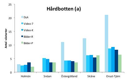 När den här studien gjordes fanns i habitatdirektivet för naturtyperna sandbankar (1110), vikar och sund (1160) och rev (1170 ) i Sverige totalt 86 typiska arter inom grupperna alger, kärlväxter,